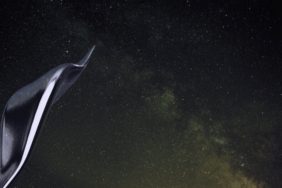 Dimitri Nikitin, Manumit, 2016, video